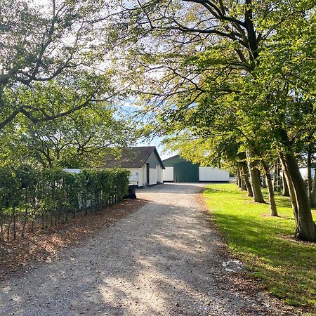 Country Guesthouse Gadstrup Экстерьер фото